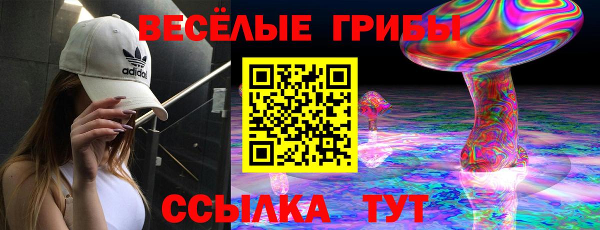 Лесной  Галлюциногенные грибы MAGIC MUSHROOMS  Вход с VPN 