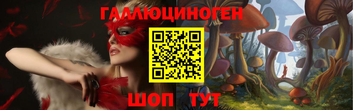 Галлюциногенные грибы мицелий Лесной
